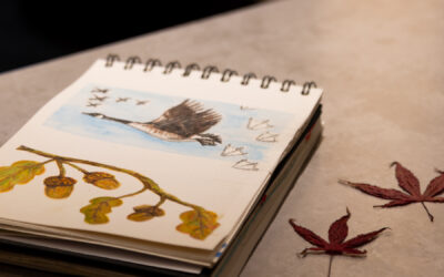 A Warm Welcome and a Leap of Creative Courage